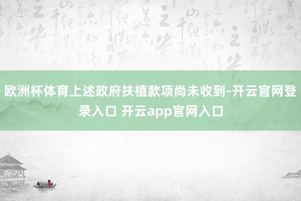 欧洲杯体育上述政府扶植款项尚未收到-开云官网登录入口 开云app官网入口